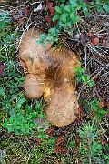 IMG_2078