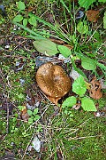 IMG_2002