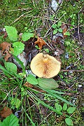 IMG_2003