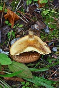 IMG_2004