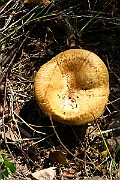 IMG_1627