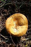 IMG_1628