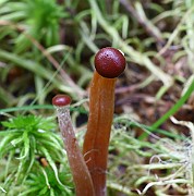 IMG_0832