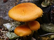 IMG_0120