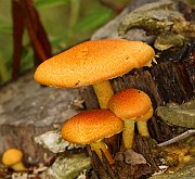 IMG_0122