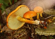 IMG_0124