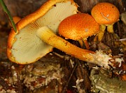 IMG_0125