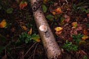 IMG_2627