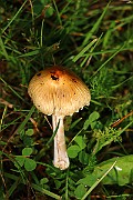 IMG_1759