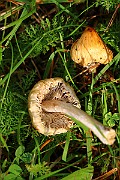 IMG_1760
