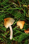 IMG_1761