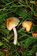 IMG_1762