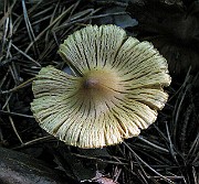 IMG_2775
