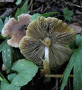 IMG_2776