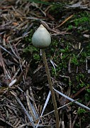 IMG_6166