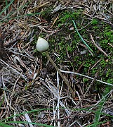 IMG_6168
