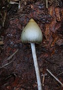 IMG_6170