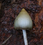 IMG_6171