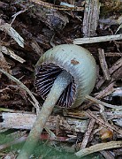IMG_6173