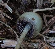 IMG_6174