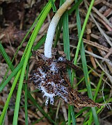 IMG_6175