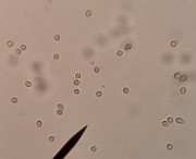20200722_042923