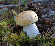IMG_1422