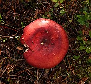 IMG_2701