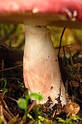 IMG_2702
