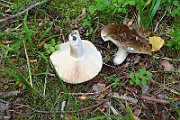 IMG_2051