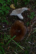 IMG_2053