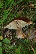 IMG_2056