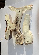 IMG_1458