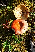 IMG_1057