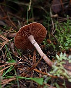 IMG_0920