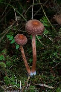 IMG_6199