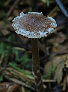 IMG_9879