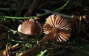 IMG_9881