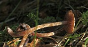 IMG_9884
