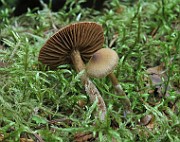IMG_9990