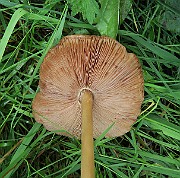 IMG_0197