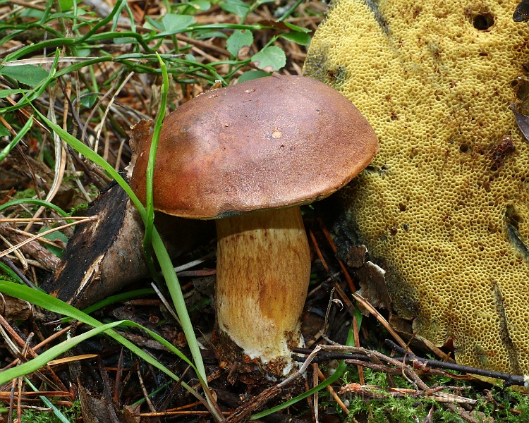 IMG_0859.JPG