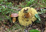IMG_0858