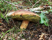 IMG_0863
