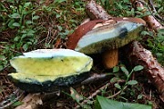 IMG_0864