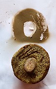 IMG_0905b