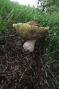 IMG_0213