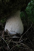 IMG_0214