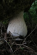 IMG_0215