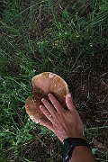 IMG_0216